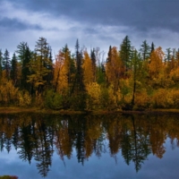 зеркальная осень...