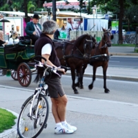 одна велосипедная сила.