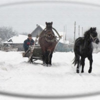 По свежему снегу