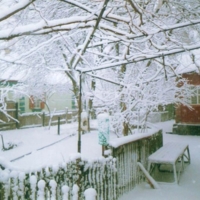 Двор в снегу