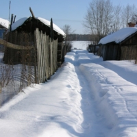 Густомесово на Волге