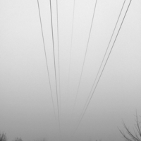 За проводами в туман