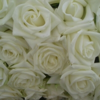белые розы!
