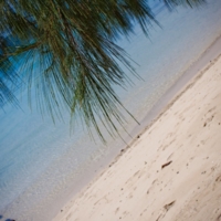 море, пальмы и песок...