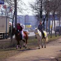 Городская кавалерия.