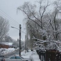 зимний - городской пейзаж