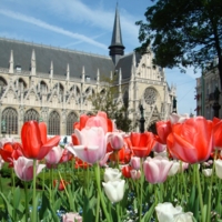 Весна в Брюсселе