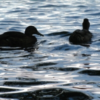 Вернись! Я все прощу...