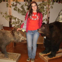 Лишняя среди хищников