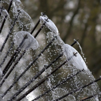 ... > fragmentum  < ...