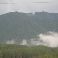 Алтайский туман
