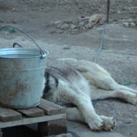 Никто не водится со мной...