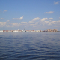 Первая встреча