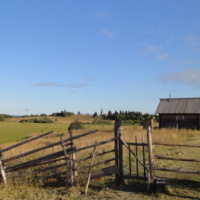 За околицей