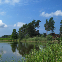 В зелено-голубом