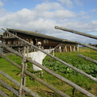 Пугало огородное)