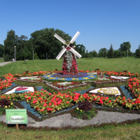 Голландия из цветов