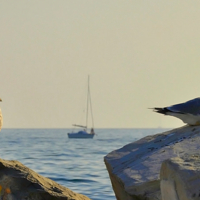 Тоже мне, Ассоль нашлась...