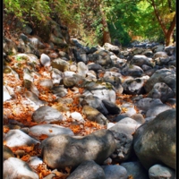 Камни высохшей реки