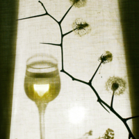 Белое вино на белом фоне