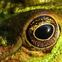 Отражение заката