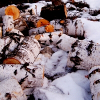 дрова на снеге