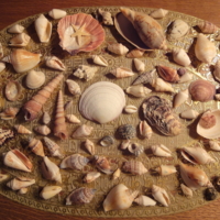 Моя коллекция