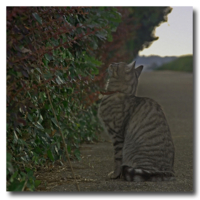 И почему я не летаю?