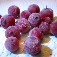 замёрзшие ягодки...