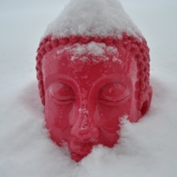 Снежный Будда