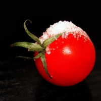 Ice tomato