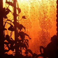 Восточный мотив