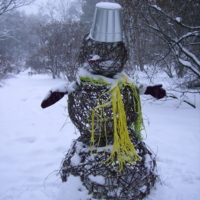 Спутник Рождества