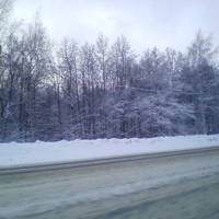 Зимняя дорога вдоль леса
