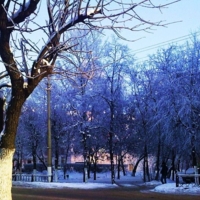 Зима в Дмитрове