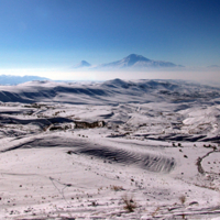 ARARAT