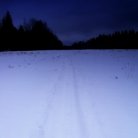 зимняя дорога...