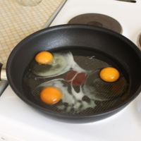 превращение яйца не в цыплёнка