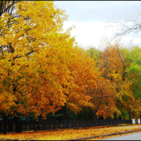 Из осени в лето