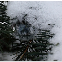 Мыльный пузырь+снег