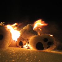 горение медведя на снегу