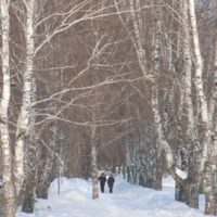 Февральский полдень