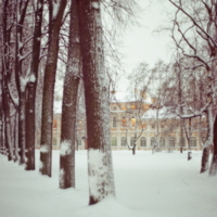 Аллея к храму.Невская лавра