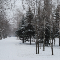 В городе гость - снег