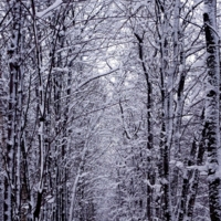 Снежный коридор