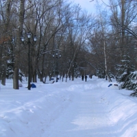 зимний парк