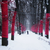 Принарядилась:)))