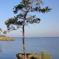 Флаг одиночества