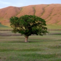 Аскарово.