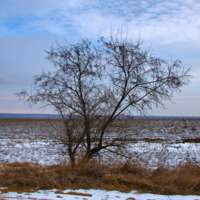 Хранитель полей